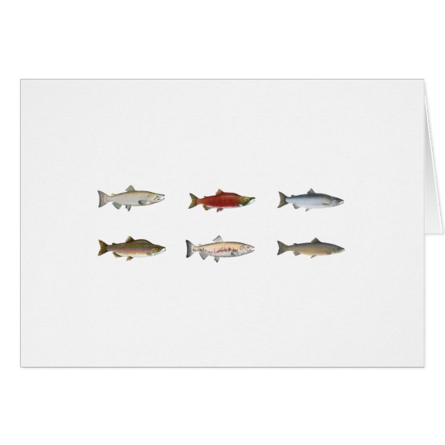 Wild Salmon (Front Horizontal)