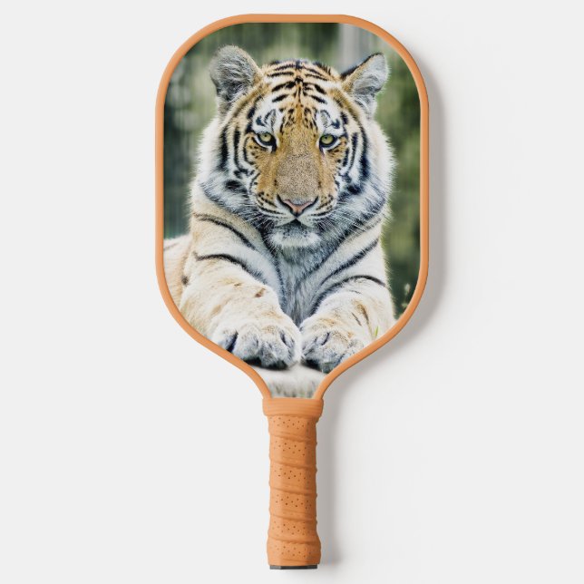 Wild Siberian Tiger Pickleball Paddles (Front)
