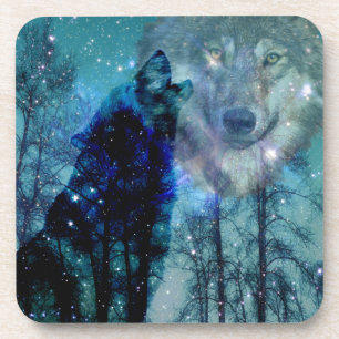 Wild Spirit Coaster