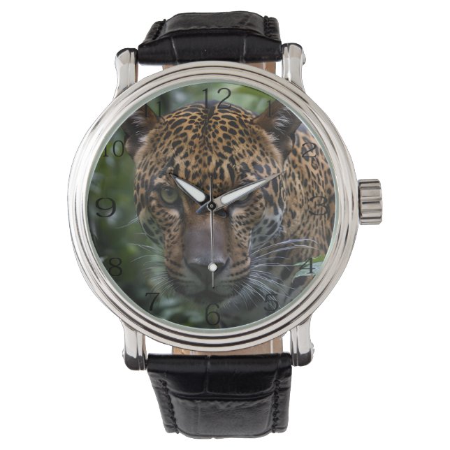 Wild Spotted Jaguar In The Forest, Watch (Front)