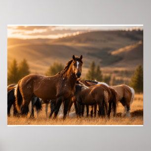 Wild Stallion- Chaos Poster