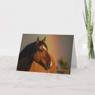 Wild Stallion, Golden Light and Rainbow Card