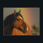 Wild Stallion, Golden Light and Rainbow Postcard<br><div class="desc">Wild Stallion,  Golden Light and Rainbow</div>