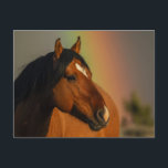 Wild Stallion, Golden Light and Rainbow Postcard<br><div class="desc">Wild Stallion,  Golden Light and Rainbow</div>