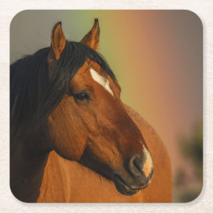 Wild Stallion, Golden Light and Rainbow Square Paper Coaster