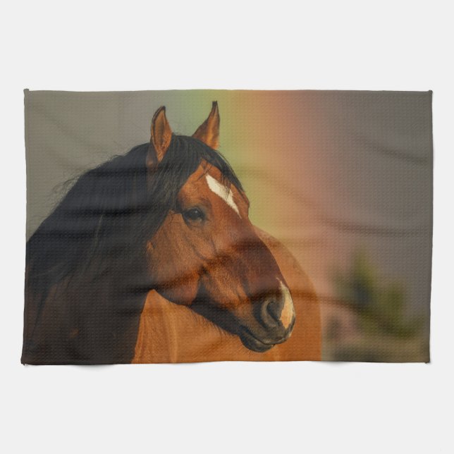 Wild Stallion, Golden Light and Rainbow Tea Towel (Horizontal)