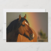 Wild Stallion, Golden Light and Rainbow