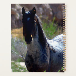 Wild Stallion in Utah Planner