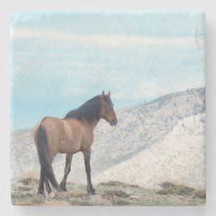 Wild Stallion Mustang Stone Coaster