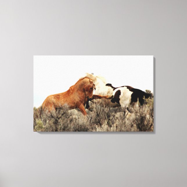 Wild Stallions in Battle Canvas Print (Front)