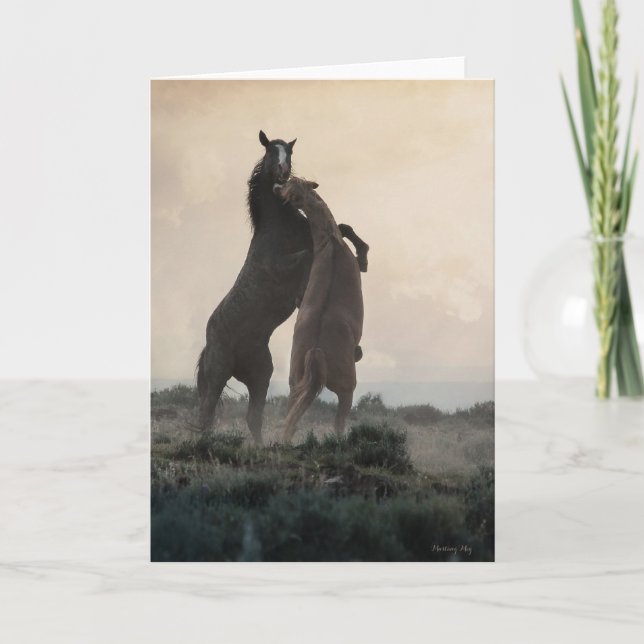 Wild Stallions Note Cards (Front)