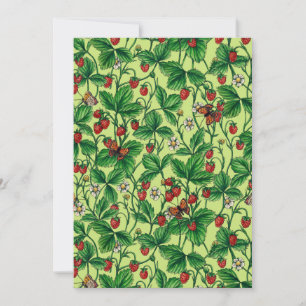 Wild strawberries on honeydew