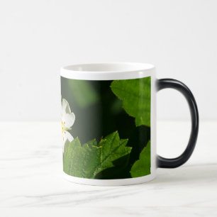 Wild Strawberry Flower Magic Mug