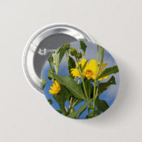 Wild Sunflowers Floral Flower Photography
