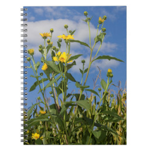 Wild Sunflowers Floral Flower Photography Notebook