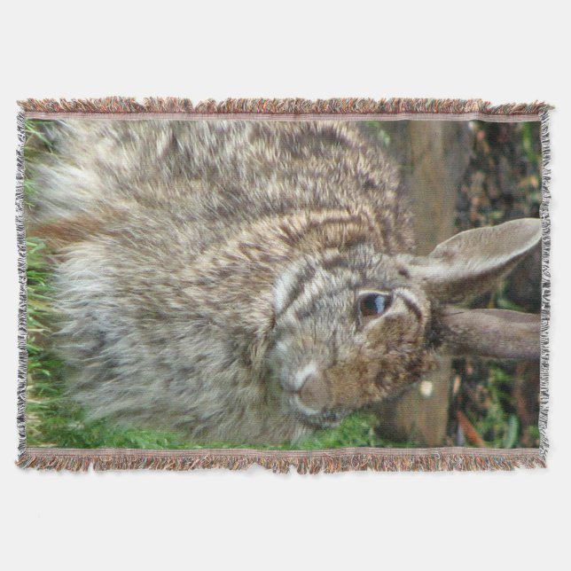 Wild Sweet Bunny Throw Blanket (Front)