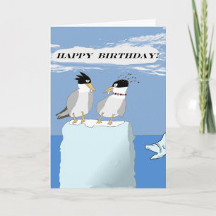 Wild Terns -- Happy Birthday Card