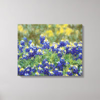 Wild Texas Bluebonnet Flowers Canvas Art Print
