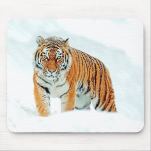 Wild Tiger in the Snow Mouse Pad