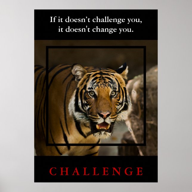 Wild Tiger Motivational Challenge Quote Poster (Front)