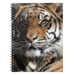 Wild Tiger Spiral Notebook
