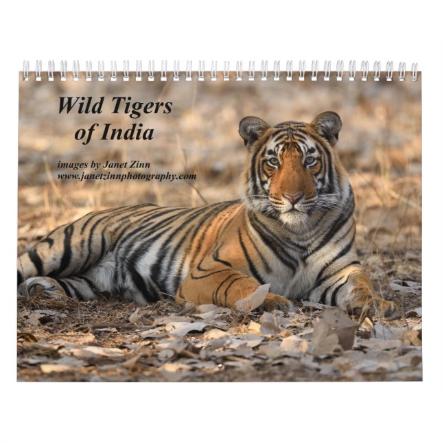 Wild Tigers of India Calendar (Cover)