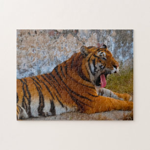 Wild Tigers Pakistan. Jigsaw Puzzle
