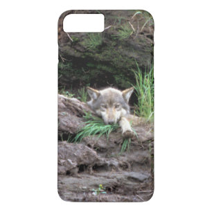 Wild Timber Wolf Cub in Den Case-Mate iPhone Case