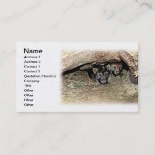 Wild Timber Wolf Twin Cubs in Den Business Card