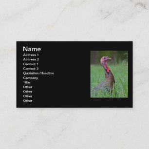 Wild Tom Business Card