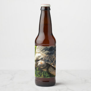 Wild Tortoise In Grass Meadow Wildlife Art Beer Bottle Label