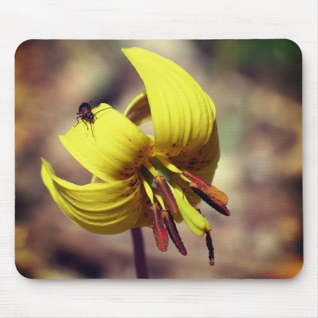 Wild Trout Lily And Friend Flower  Mouse Pad (Front)