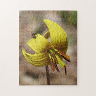 Wild Trout Lily Flower And Insect Friend  Jigsaw Puzzle