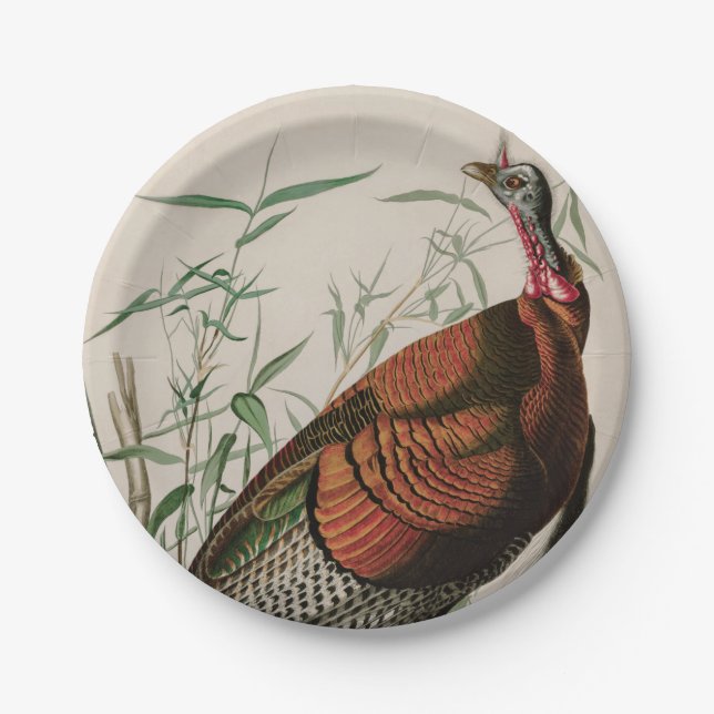 Wild Turkey Birds of America Audubon Print Paper Plate (Front)