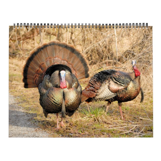 Wild Turkey Calendar (Cover)