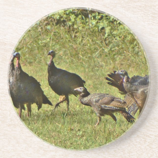 Wild Turkey, Camouflage colours Coaster (Front)
