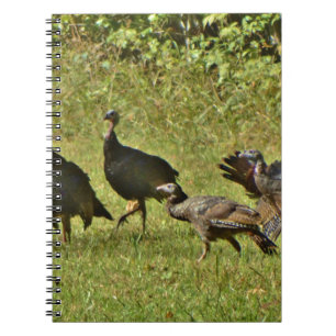 Wild Turkey, Camouflage colours Spiral Notebook