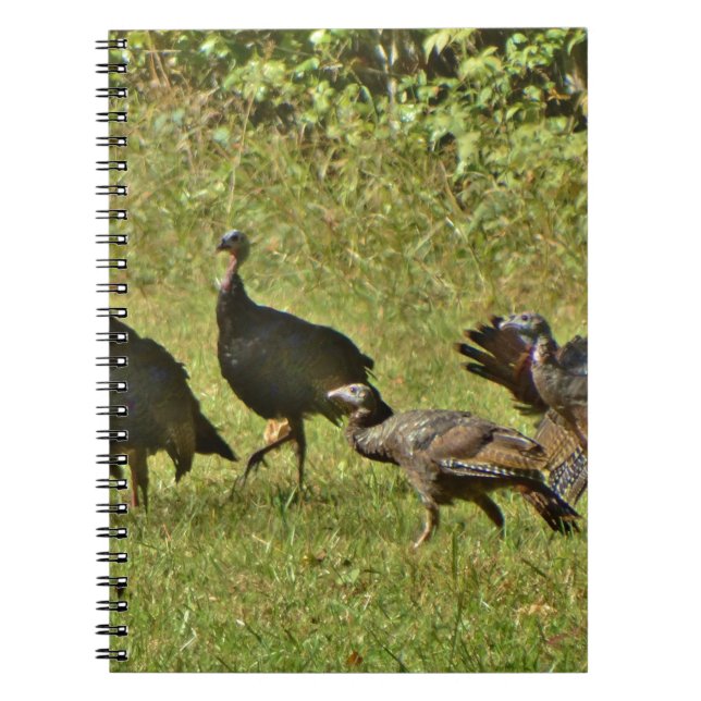 Wild Turkey, Camouflage colours Spiral Notebook (Front)