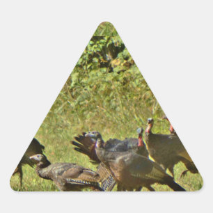 Wild Turkey, Camouflage colours Triangle Sticker