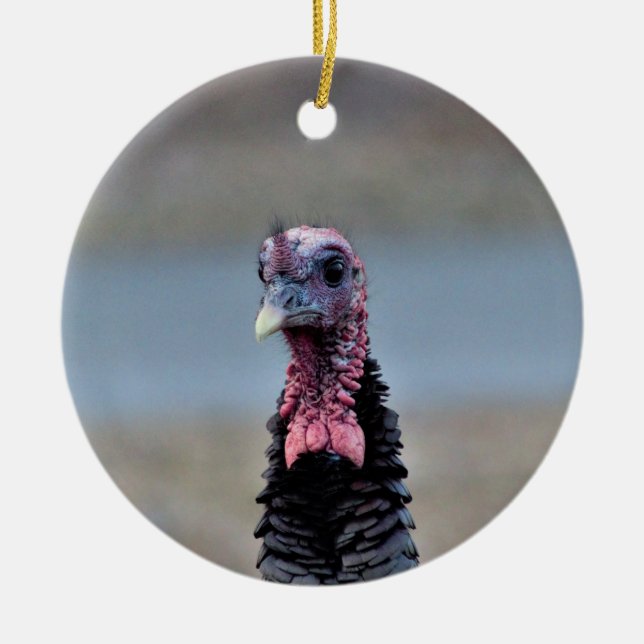 Wild Turkey Ceramic Tree Decoration (Front)