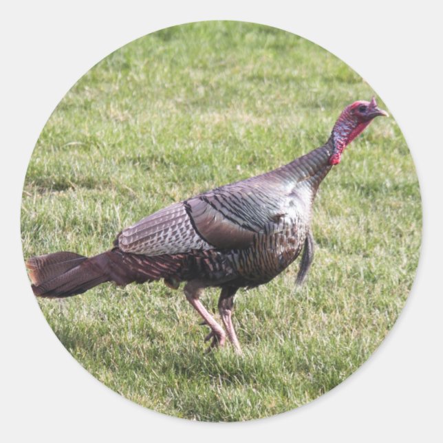 Wild Turkey Classic Round Sticker (Front)