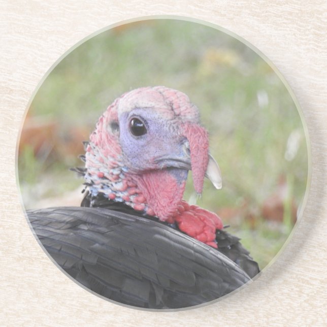 Wild Turkey Coaster (Front)