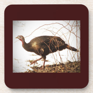 Wild Turkey Coaster