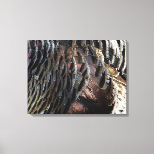 Wild Turkey Feathers I Abstract Nature Design Canvas Print (Front)