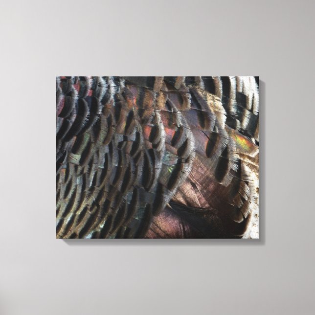 Wild Turkey Feathers I Abstract Nature Design Canvas Print (Front)