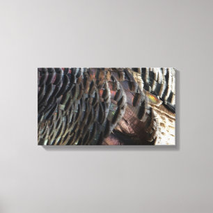 Wild Turkey Feathers I Abstract Nature Design Canvas Print
