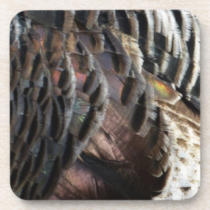 Wild Turkey Feathers I Abstract Nature Design Coaster