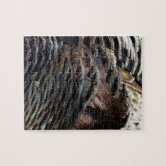 Wild Turkey Feathers I Abstract Nature Design Jigsaw Puzzle