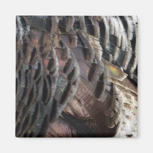 Wild Turkey Feathers I Abstract Nature Design Magnet