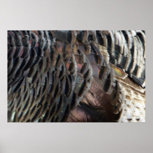 Wild Turkey Feathers I Abstract Nature Design Poster